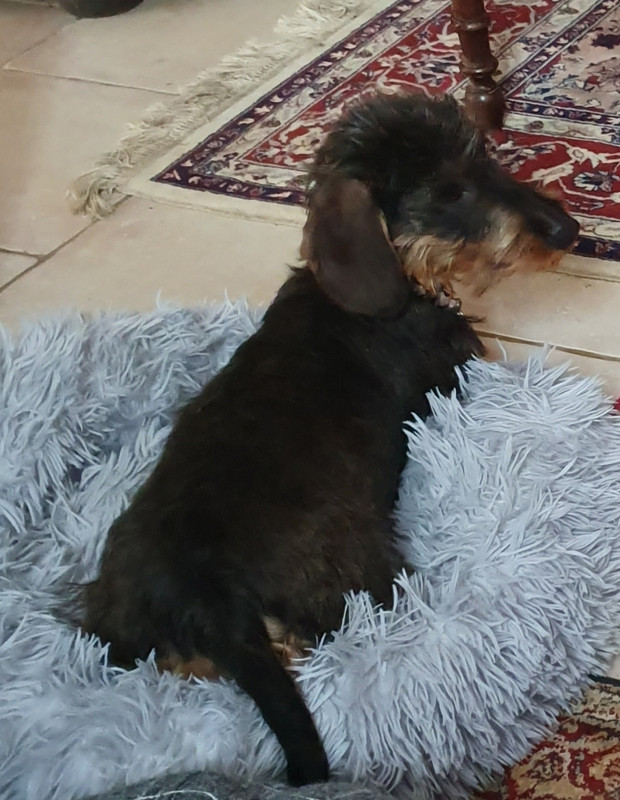 [Image: 20220103-153141.jpg]