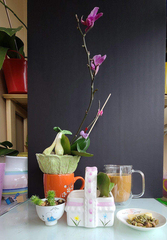 [Image: 20230611-092515.jpg]