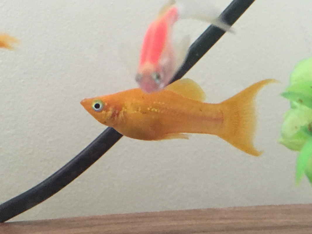 D1A7B642-BA1A-4255-9608-1142844B9855