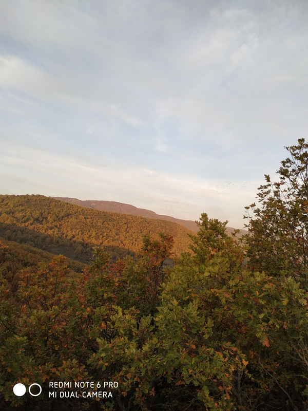 IMG-20181103-072424.jpg