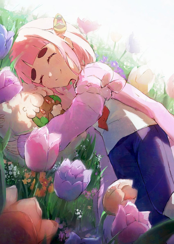 lacey-and-whimsicott-pokemon-and-1-more-