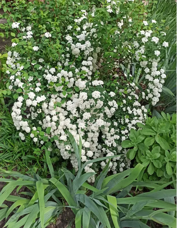 IMG_20230427_115644_265