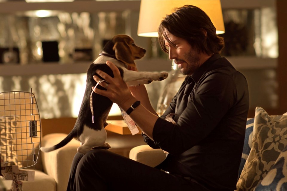 b0f8a815be5eeacac345d7565124f763