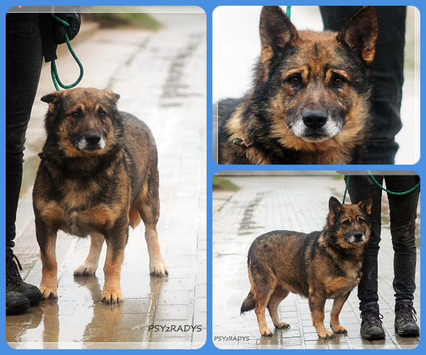 BeFunky-collage (18)