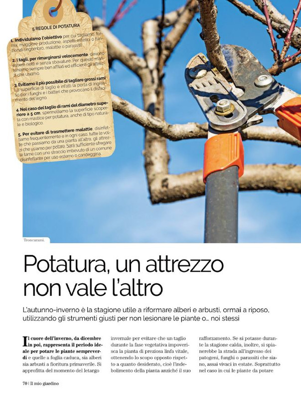 Il Mio Giar Nov-Dic 2021 (5)