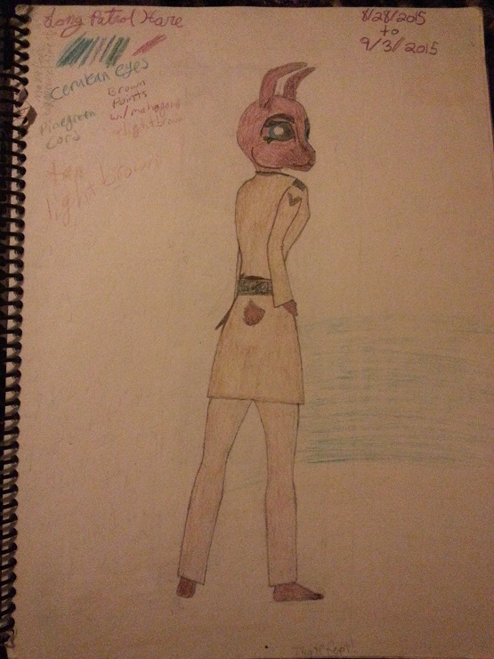 FelicityTheHare.resized2