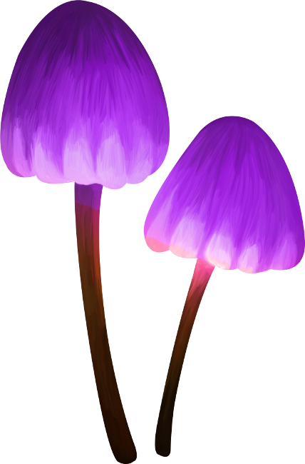 Into The Jungle (109)