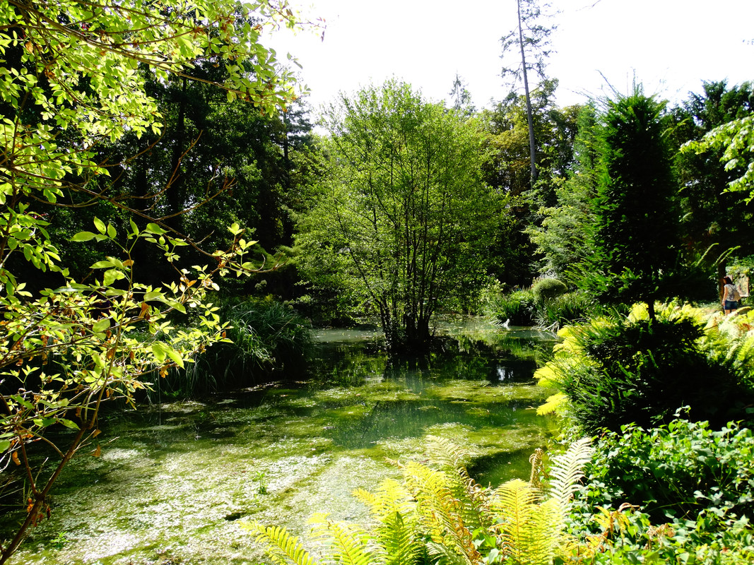 13.29 - DSC08966 (Czesio1)