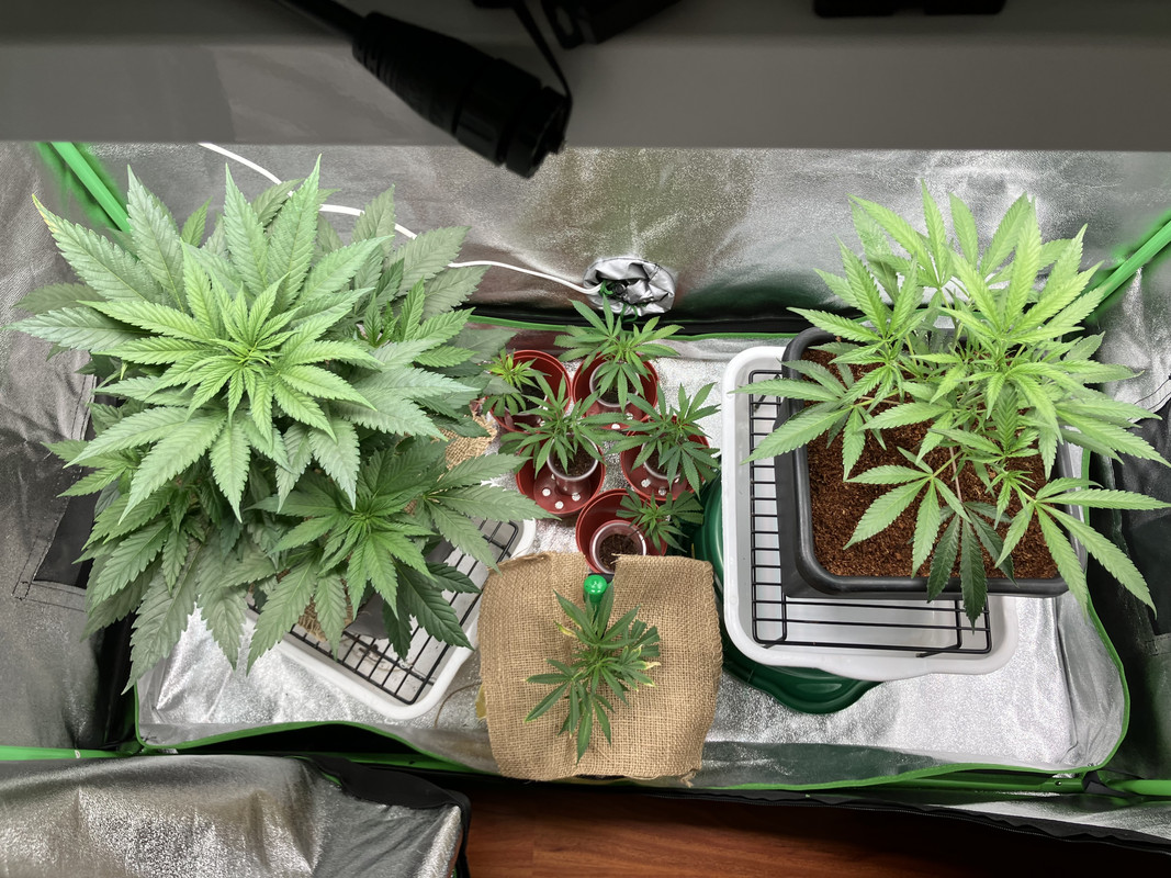 76B82164-90D2-4811-90FC-A3ADEE1BF329