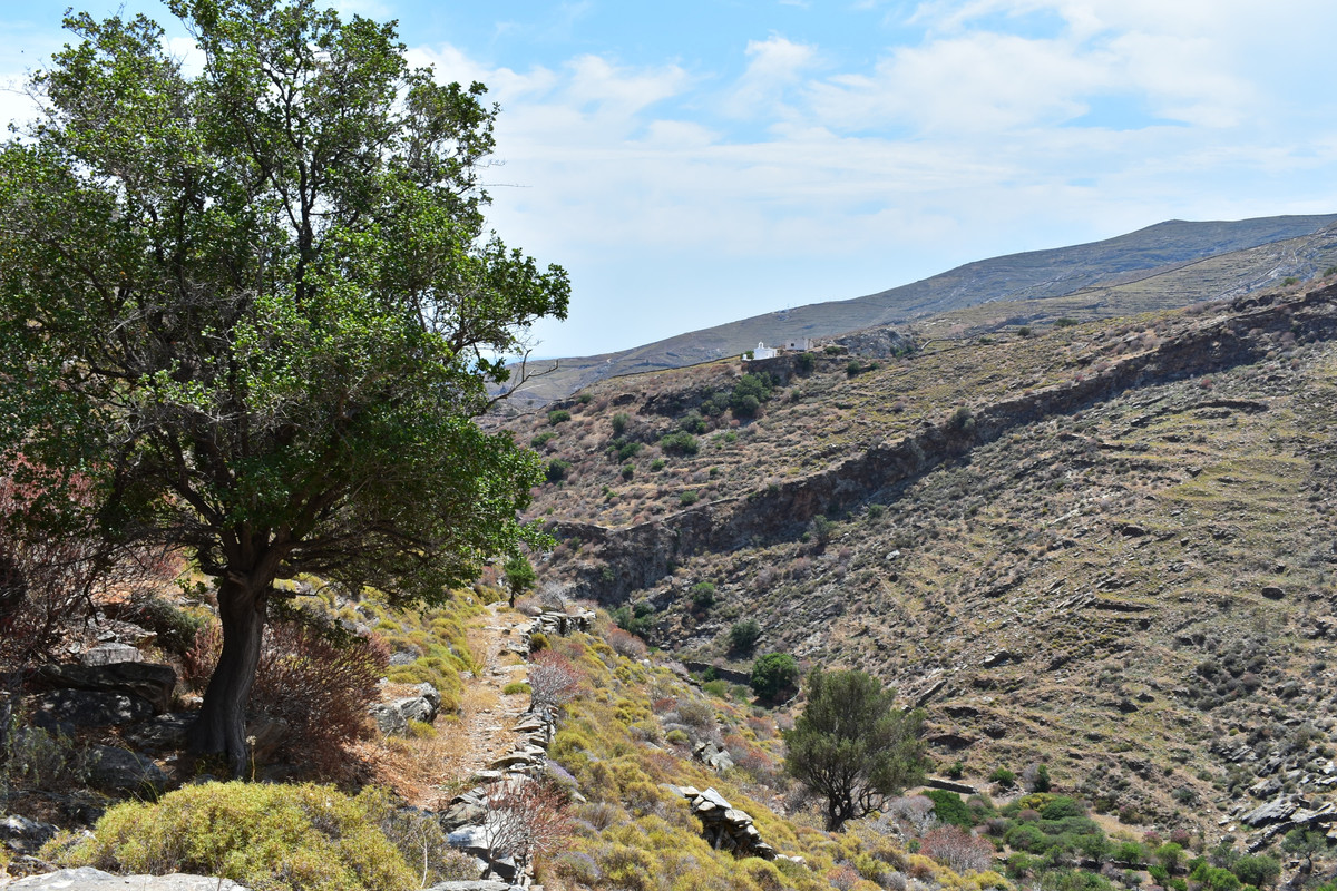 Αρχαία Καρθαία