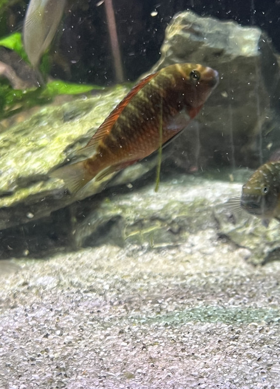 3F157243-FC77-49BD-A01E-55F2780FF644