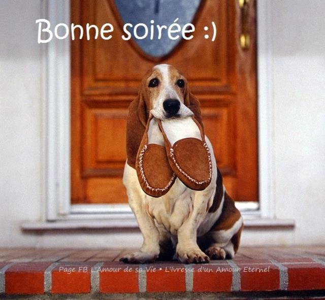 vendredi 8 février SOIREE-CHIEN-CHAUSSON-F