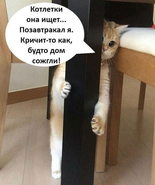 6e844734fb