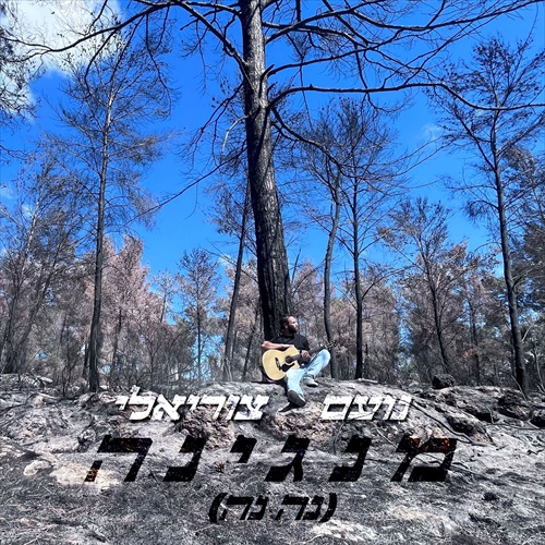 תמונה