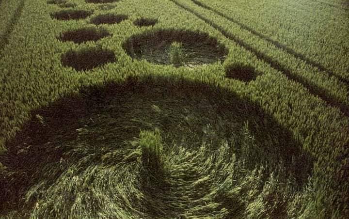 campos de torsión  Vortex-crop-circles