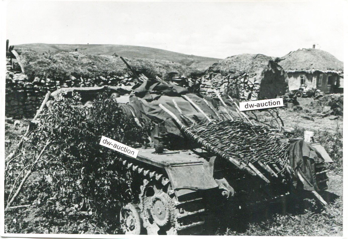Sturmgeschütz in Tarnung am Don