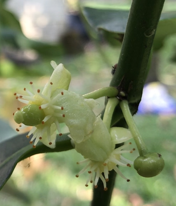 BBE2407C-F2F9-47F9-931E-D42CC85D6358