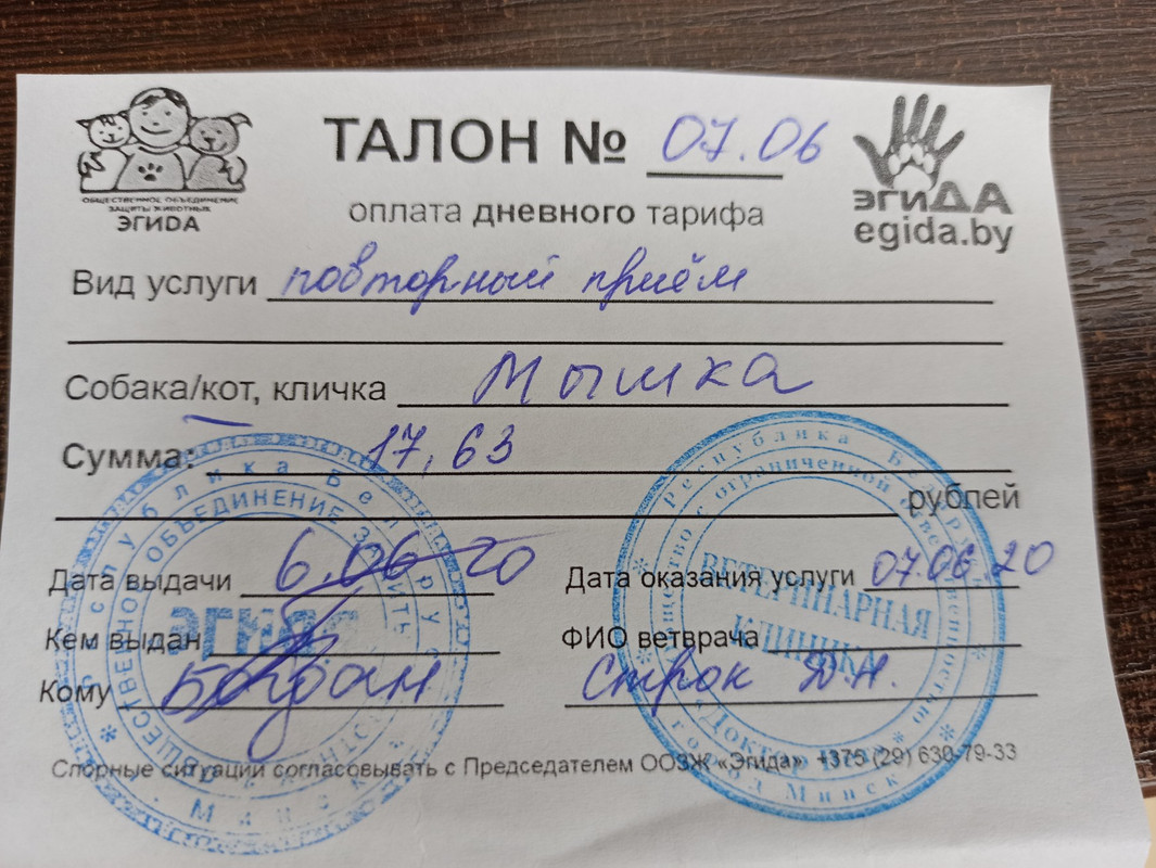 талон