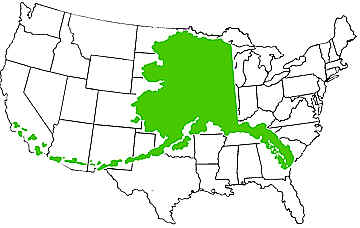 Alaska-over-USA-Map