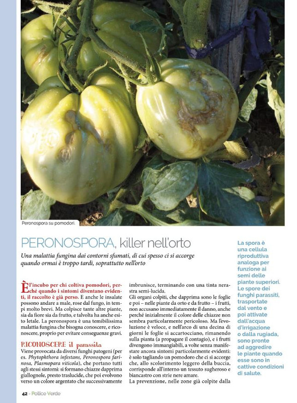 Pol Ver Lug 2022 (7)