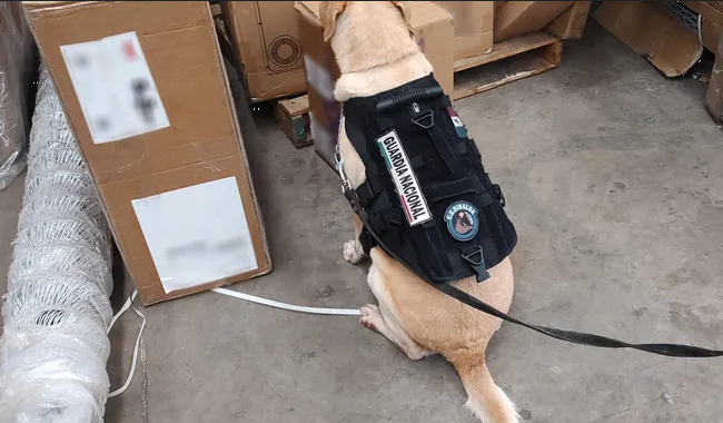 Narcos en Sinaloa ocultan cristal en una refacción automotriz