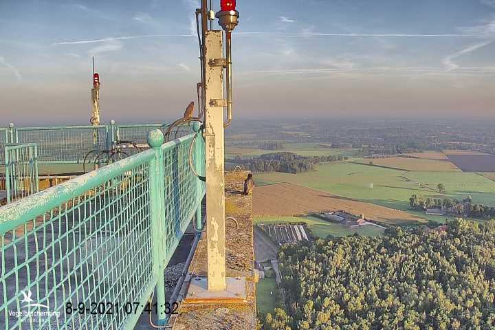 campics vanaf 1 juli © VWGGemert en bonusjes van ter plekke - Pagina 25 V2