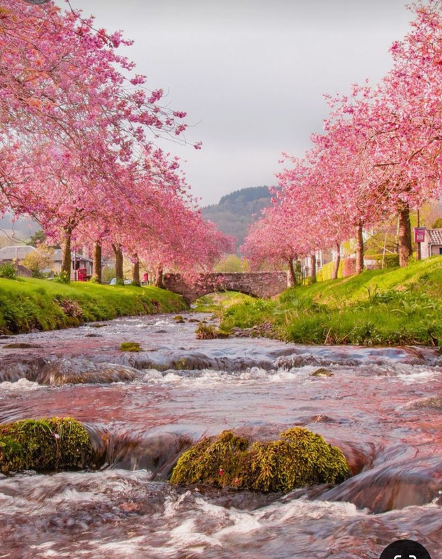 Screenshot_20240527_232833_Pinterest