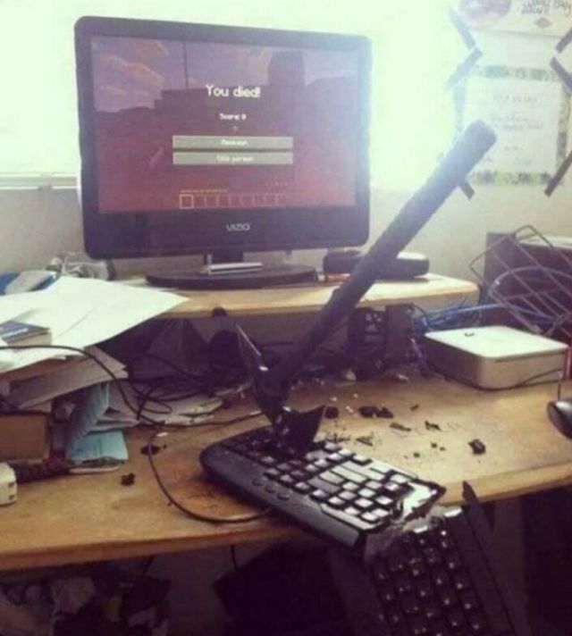 picdump-kw10-2025-002.jpg
