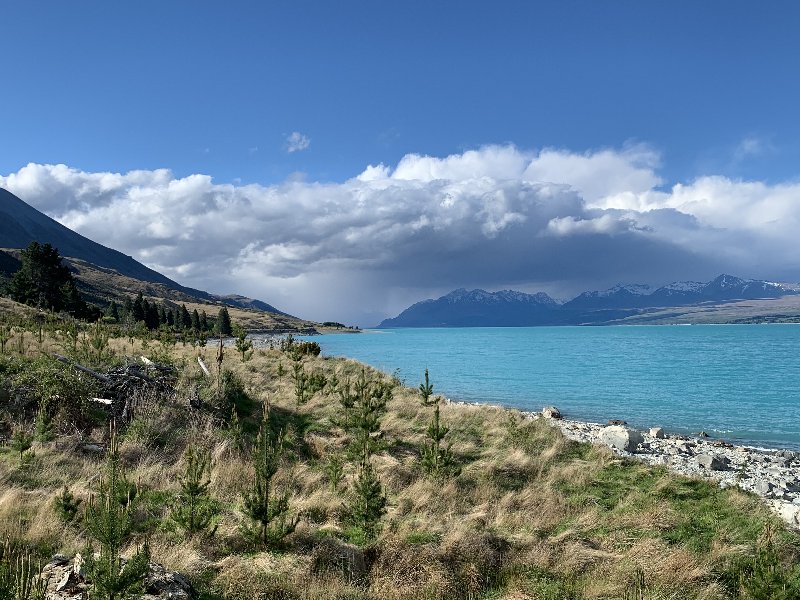 Twizel- Mount Cook-Lake Tekapo - Nueva Zelanda: La primavera Kiwi nos fue marcando la ruta (5)