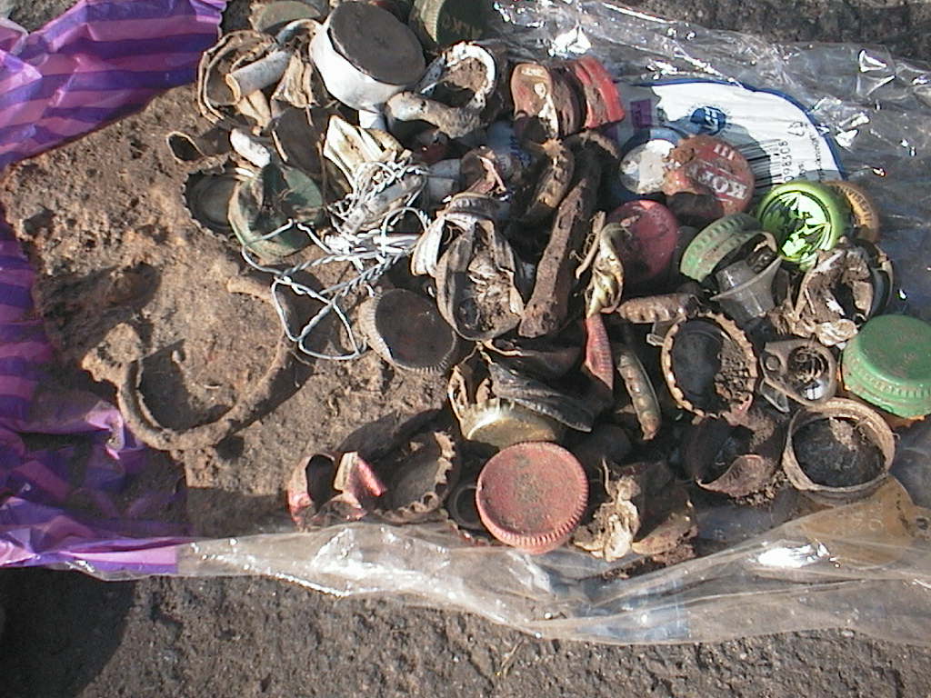 tähti puisto 8.5.2016 014