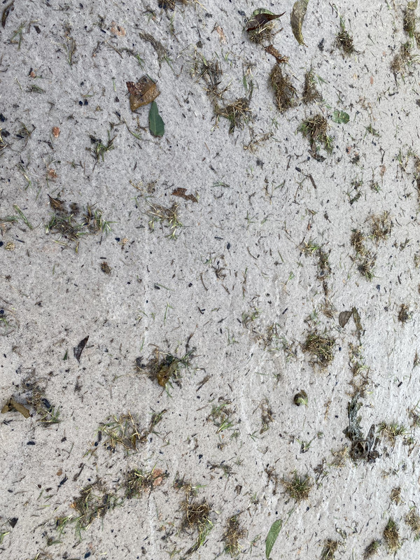 32698A85-DB4F-4527-9F10-33997B4CB34B