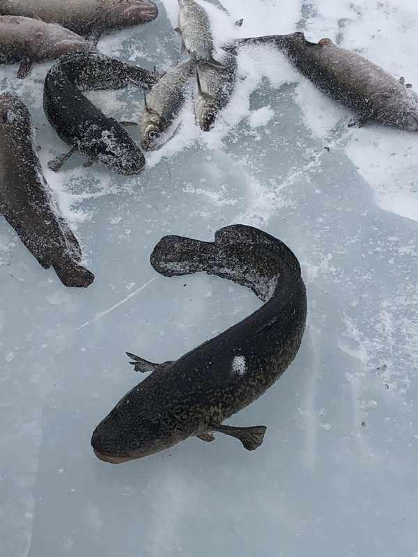 8E4AF3FC-D278-43DD-8AF4-77600020D284