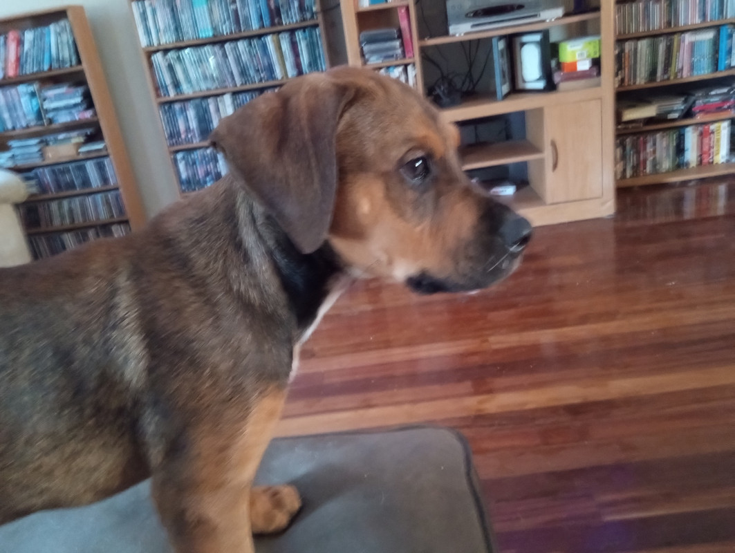 Ella-03.jpg