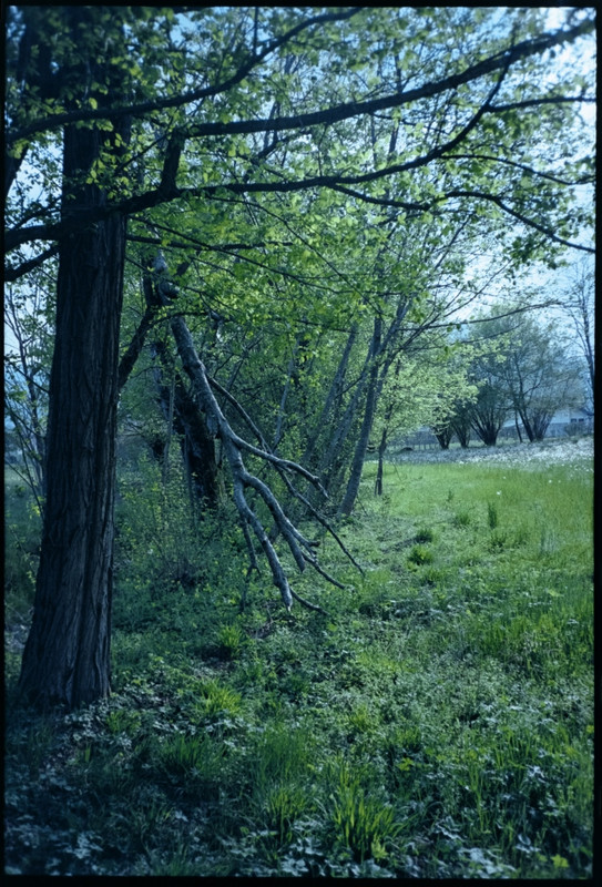 Leica Mini III_26apr2021_09 (695x1024)