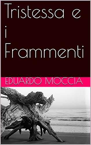 Eduardo Moccia – Tristessa e i Frammenti (2021)