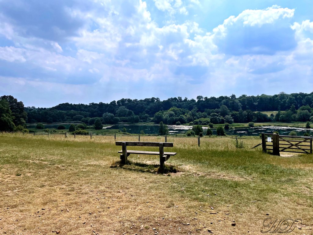Woods-bench-lake-HD.jpg