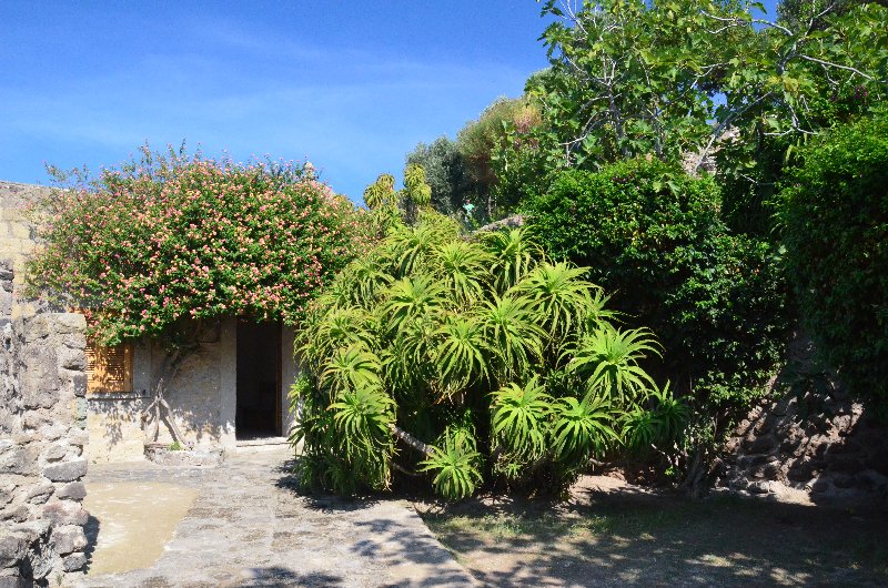 Italia y sus pueblos-2018/2019/2023 - Blogs de Italia - ISLA DE ISCHIA-21-9-2018 (101)