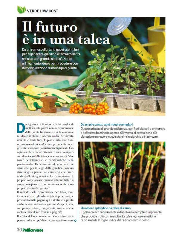 Pol Ver Ago 2025 (5)