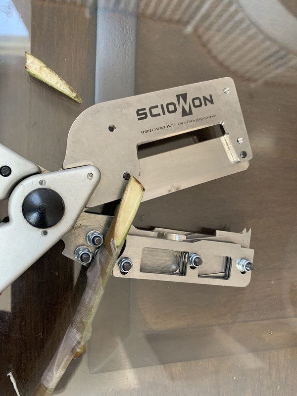 40AE1DE9-F5DA-42BA-AB88-F207D2388DF3