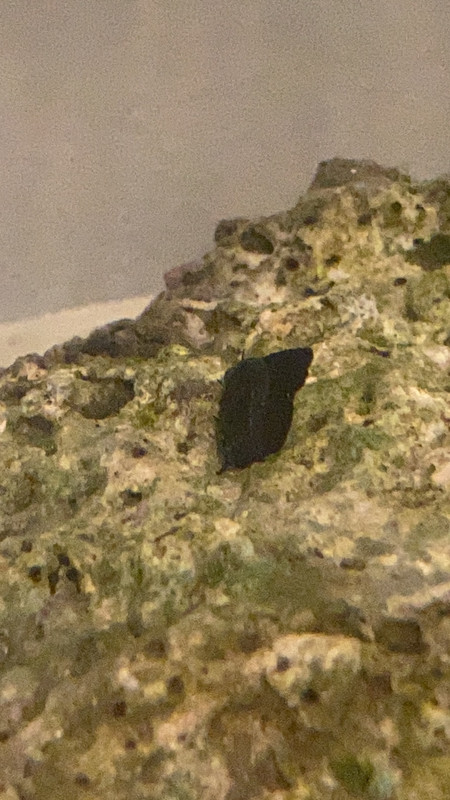 B1629E56-1328-49CD-8A1C-21962FAA5826