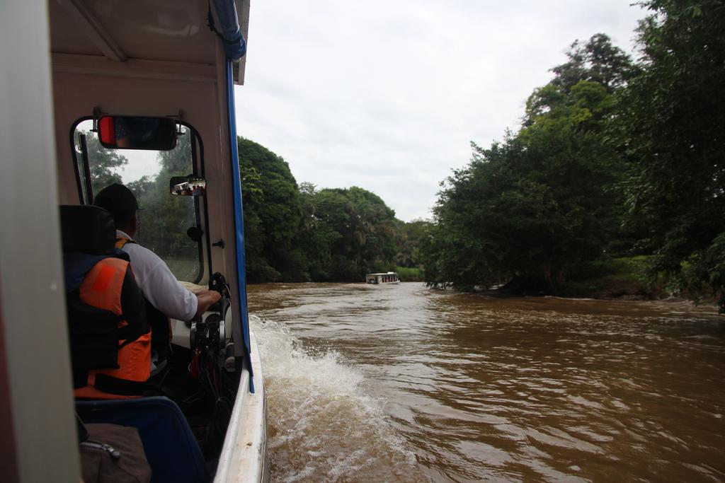 DIA 2: LLEGADA A TORTUGUERO - DE TORTUGAS Y PEREZOSOS. COSTA RICA 2019 (12)