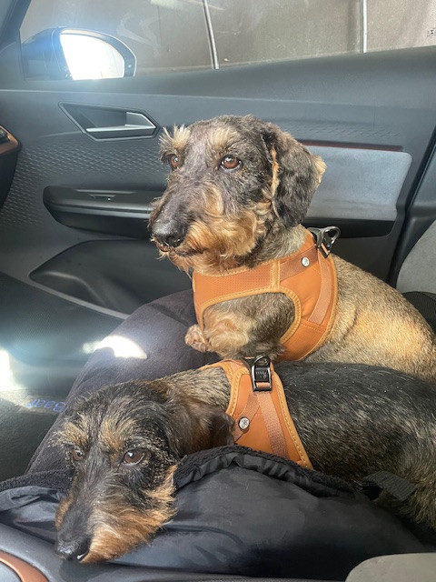 [Image: IMG-6399.jpg]