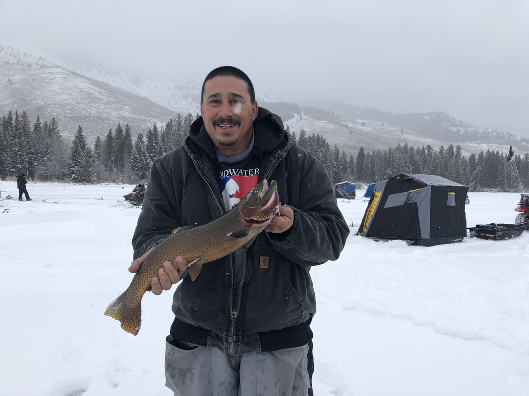 5A56E563-4AF3-43C3-97A6-376484FFD26E