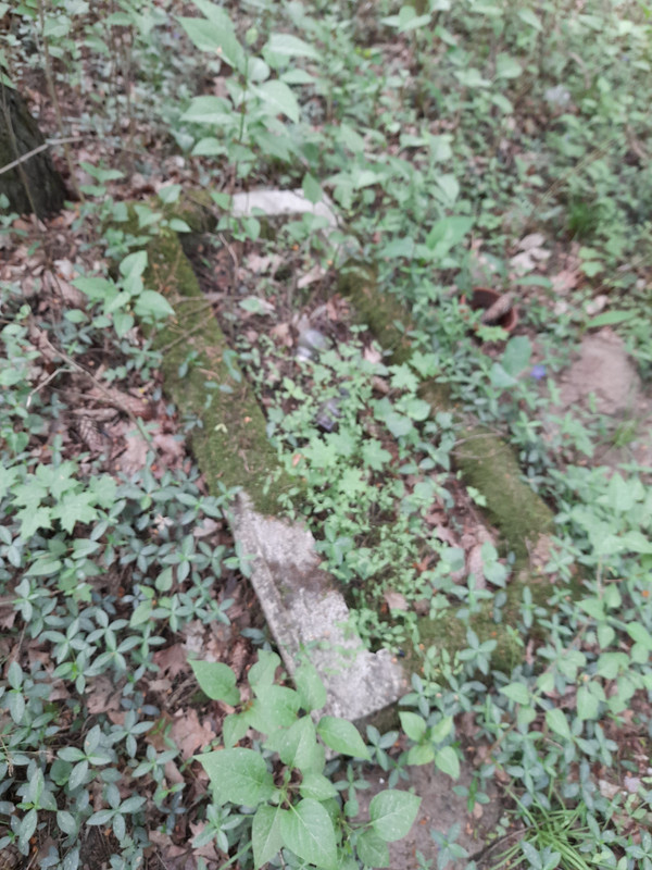 04.08 - 20210602_073036 (Aldona)