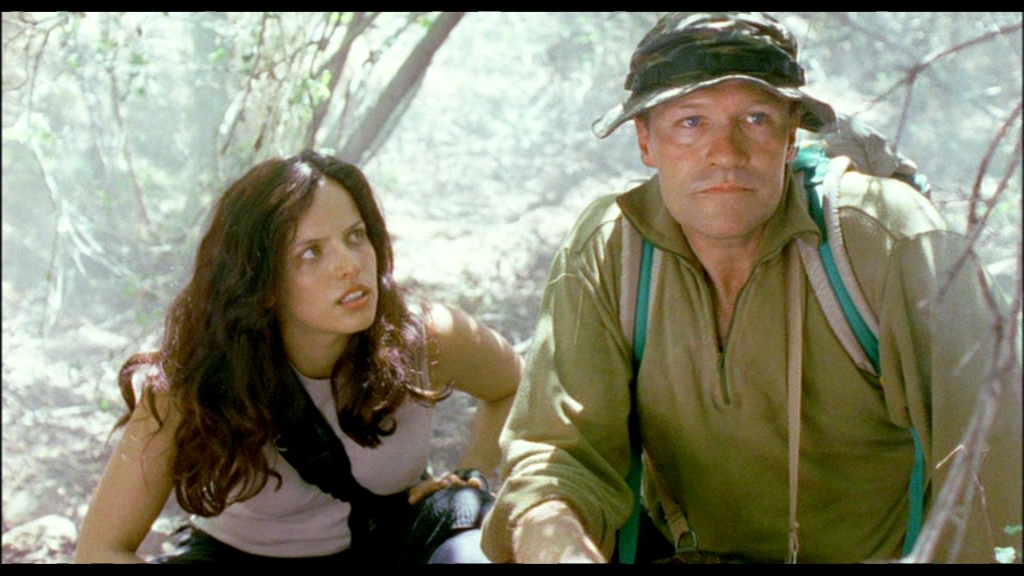 vlcsnap-2018-07-30-14h32m42s673