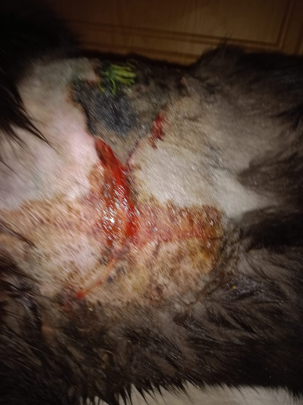 300530B8-66C7-4FE2-AC59-5AC5835611DC