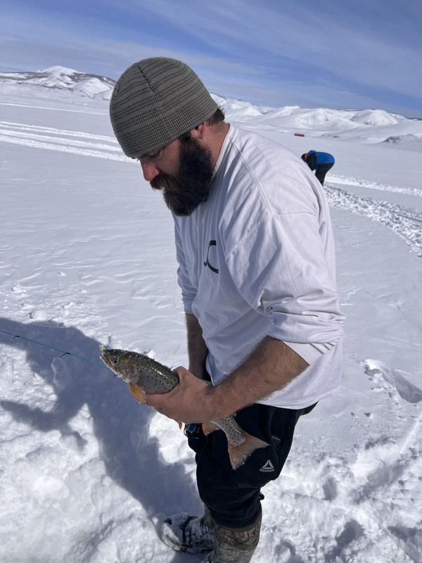 C5EA9A2D-ABB2-4D18-9958-FCB789F4534E