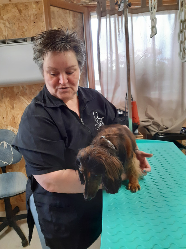 [Image: 20220630-101539.jpg]