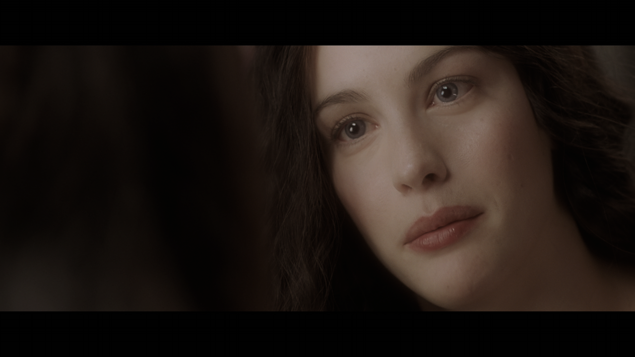 The Lord of the Rings- The Return of the King (EXT.) PT. 1.mkv_snapshot_00.41.31_[2020.12.15_18.40.5