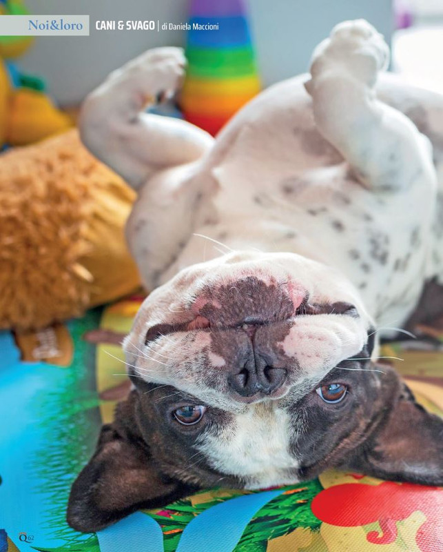 QuattroZampe Ott 2021 (3)